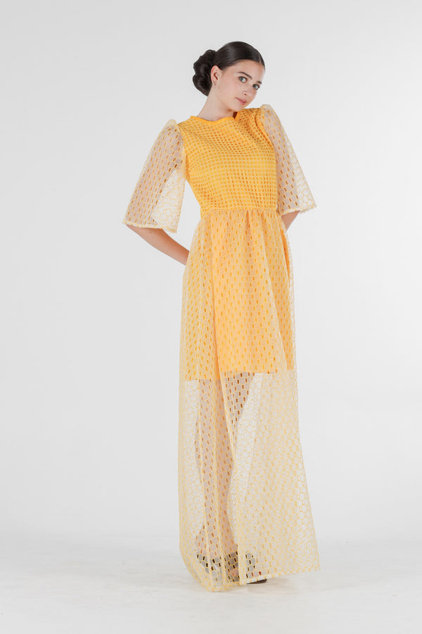 1- Beatrix long dress in yellow silk organza