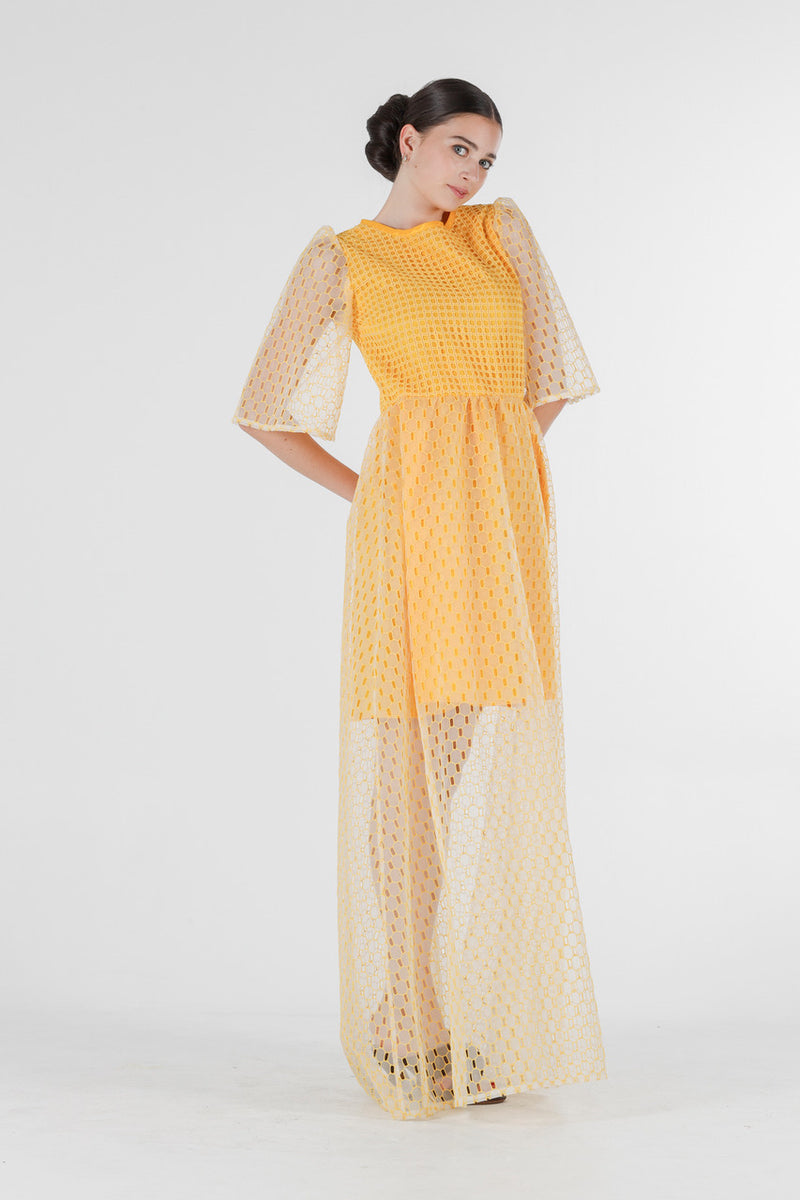 1- Beatrix long dress in yellow silk organza