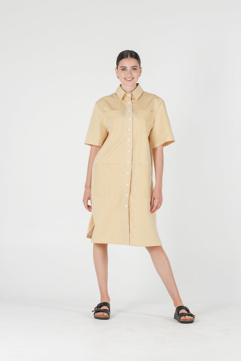 1- Jerry shirt dress in yellow stripes