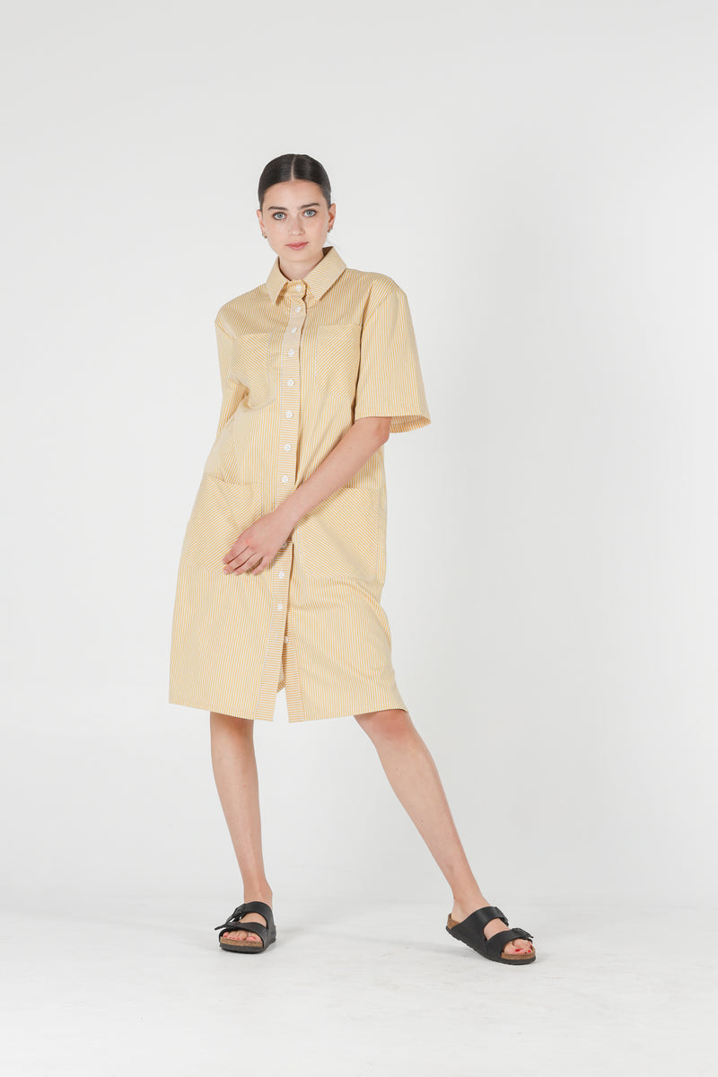 1- Jerry shirt dress in yellow stripes