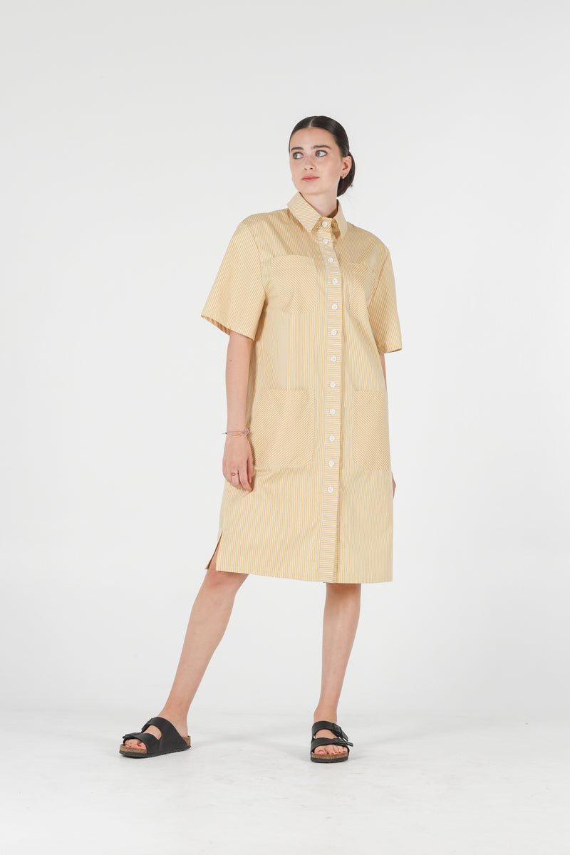 1- Jerry shirt dress in yellow stripes