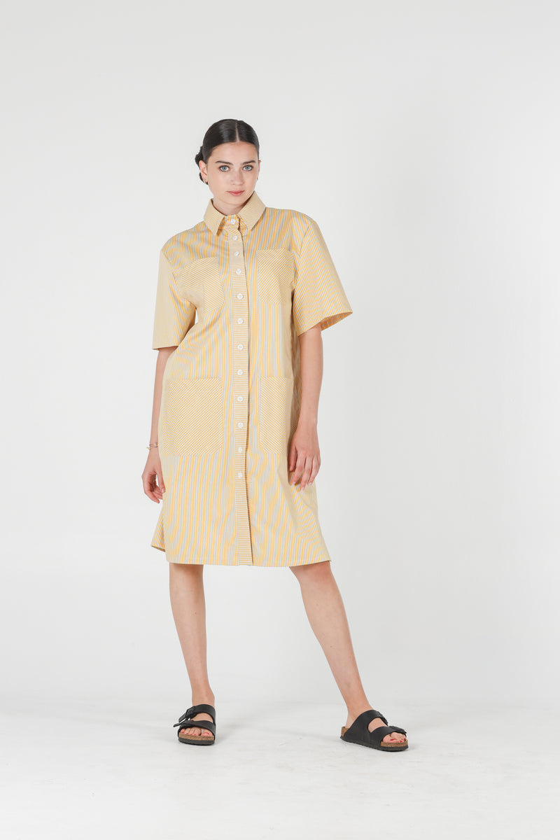 1- Jerry shirt dress in yellow stripes