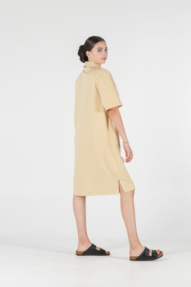 1- Jerry shirt dress in yellow stripes