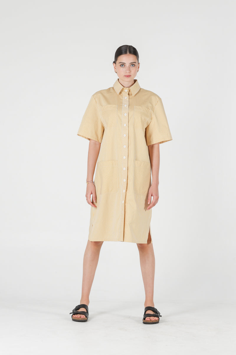 1- Jerry shirt dress in yellow stripes