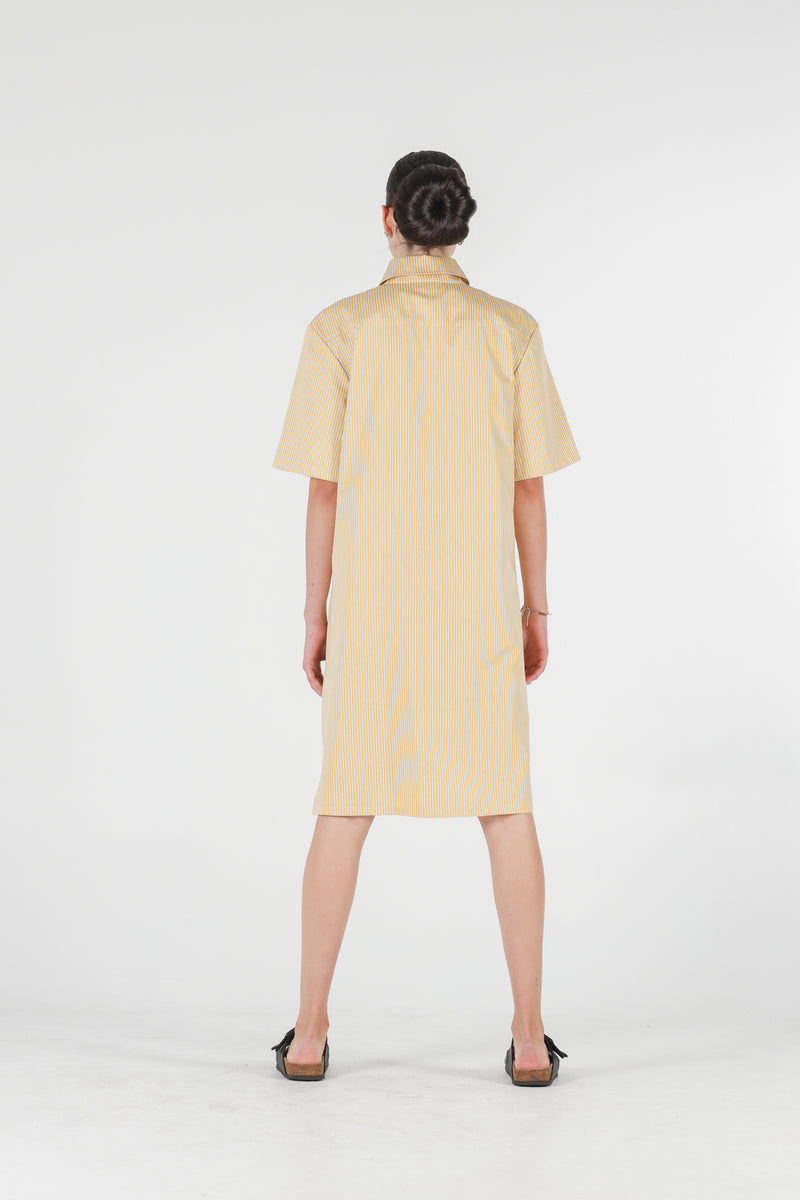 1- Jerry shirt dress in yellow stripes