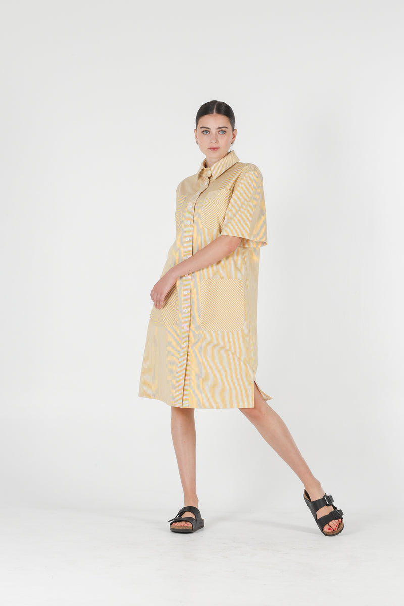 1- Jerry shirt dress in yellow stripes