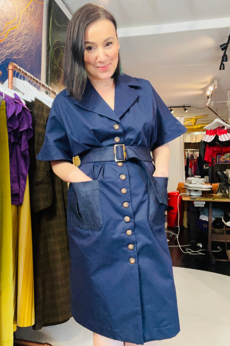 1- Alyson navy dress