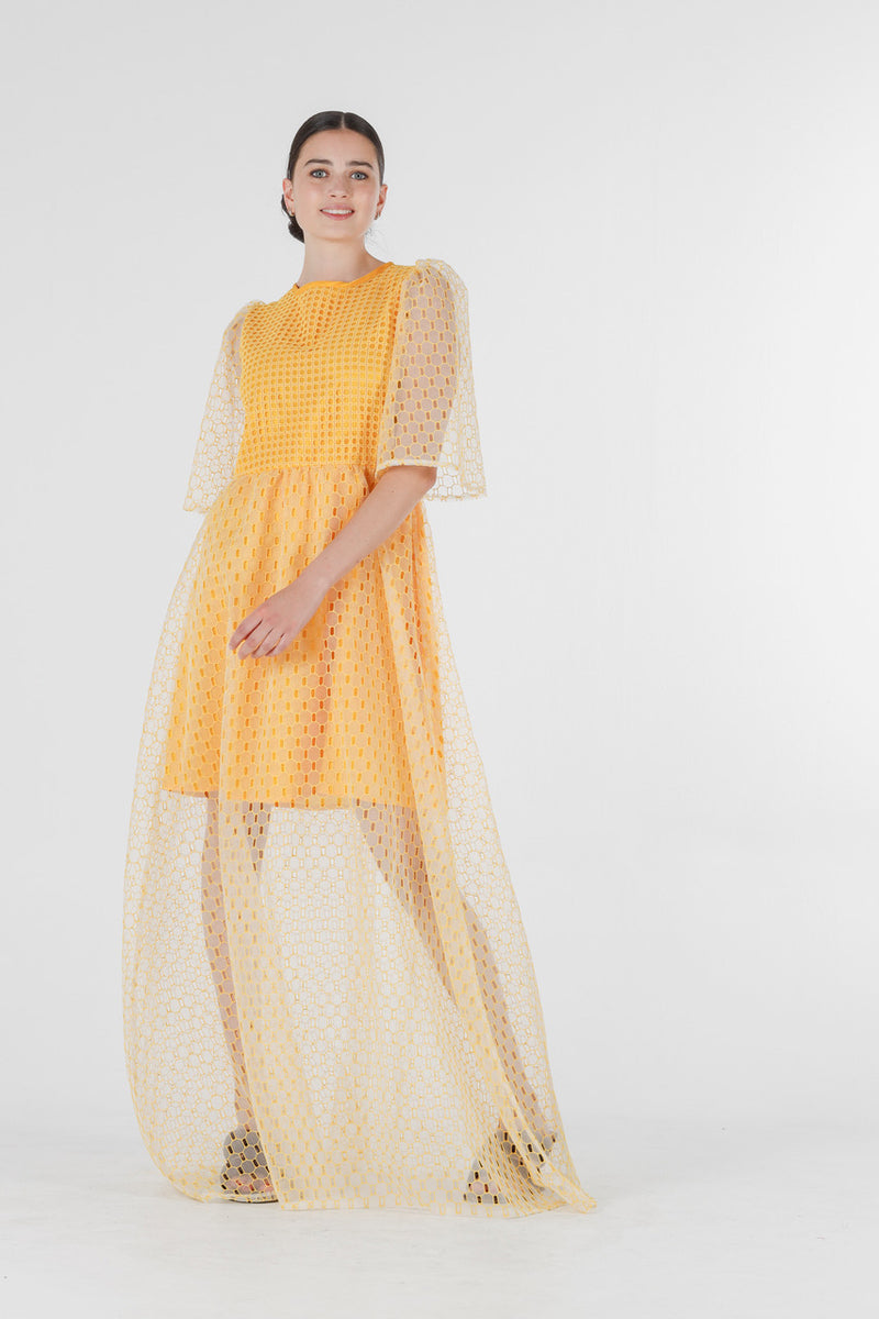 1- Beatrix long dress in yellow silk organza