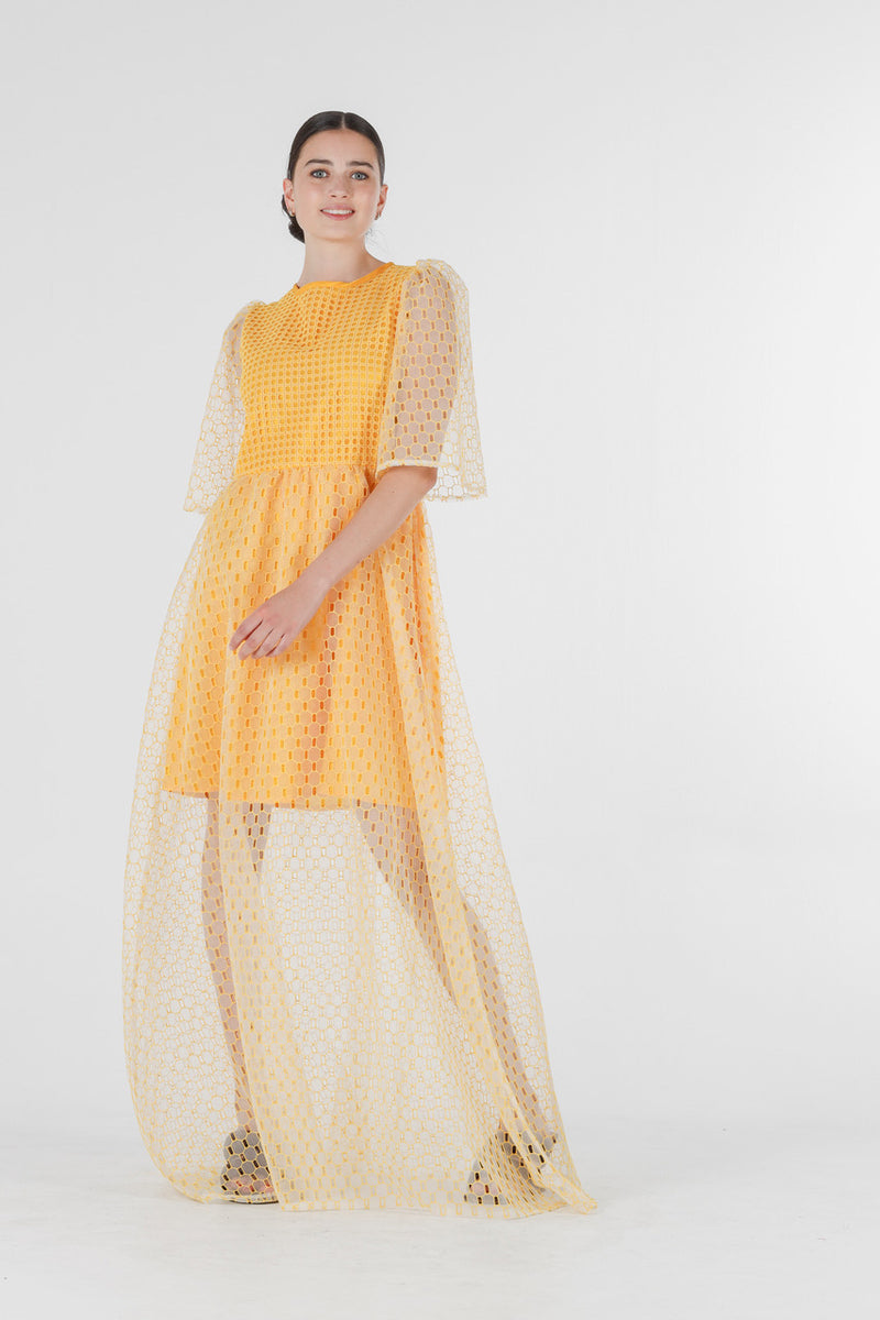 Beatrix long dress in yellow silk organza