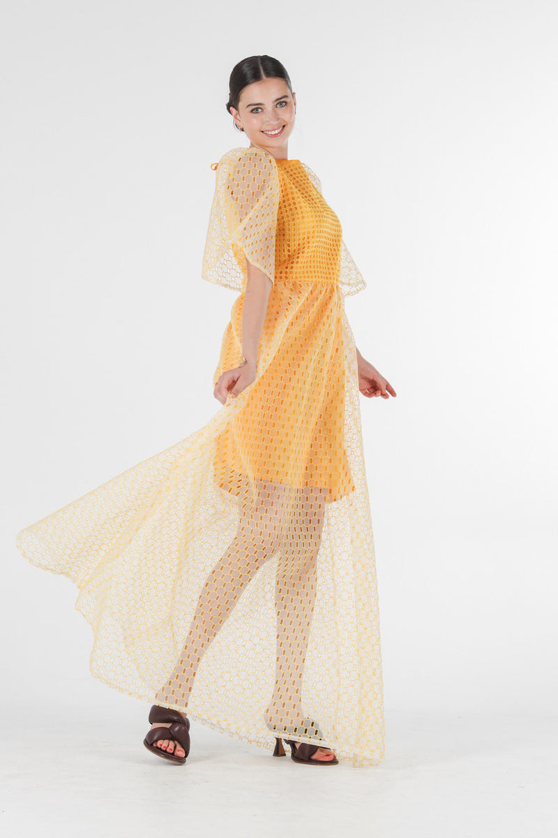 1- Beatrix long dress in yellow silk organza