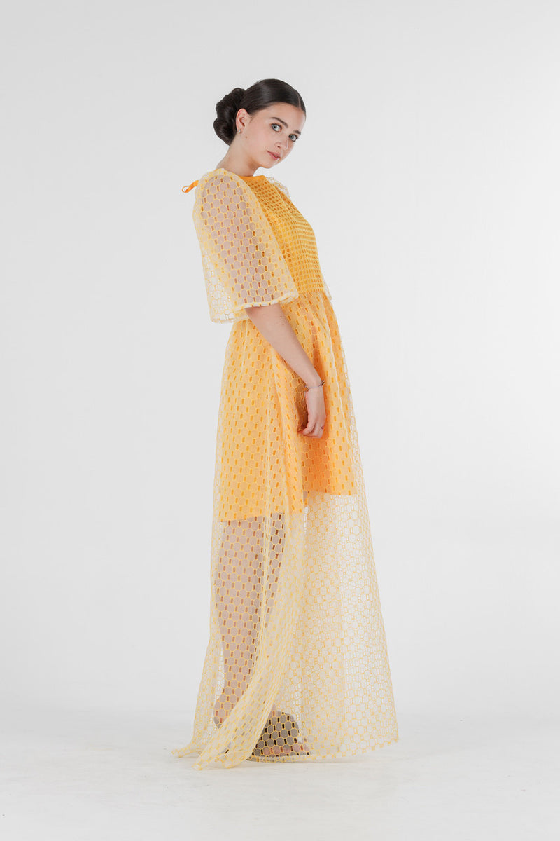 1- Beatrix long dress in yellow silk organza