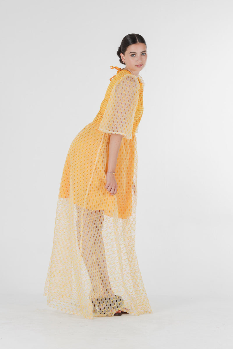 1- Beatrix long dress in yellow silk organza