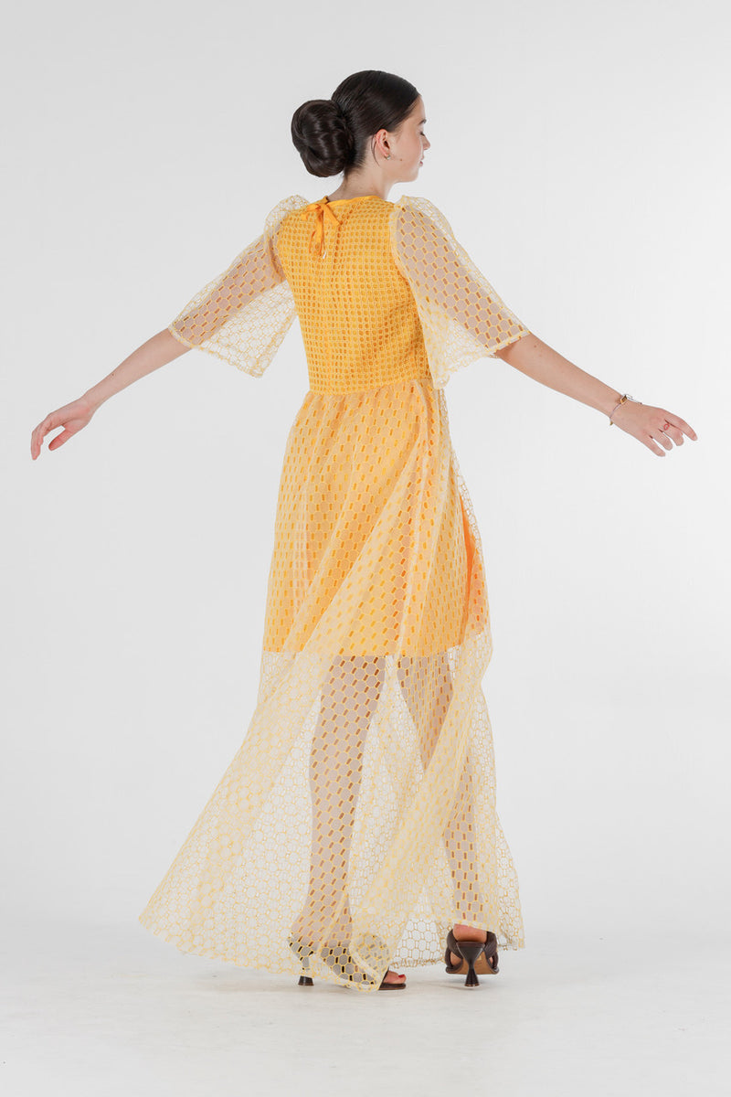 1- Beatrix long dress in yellow silk organza