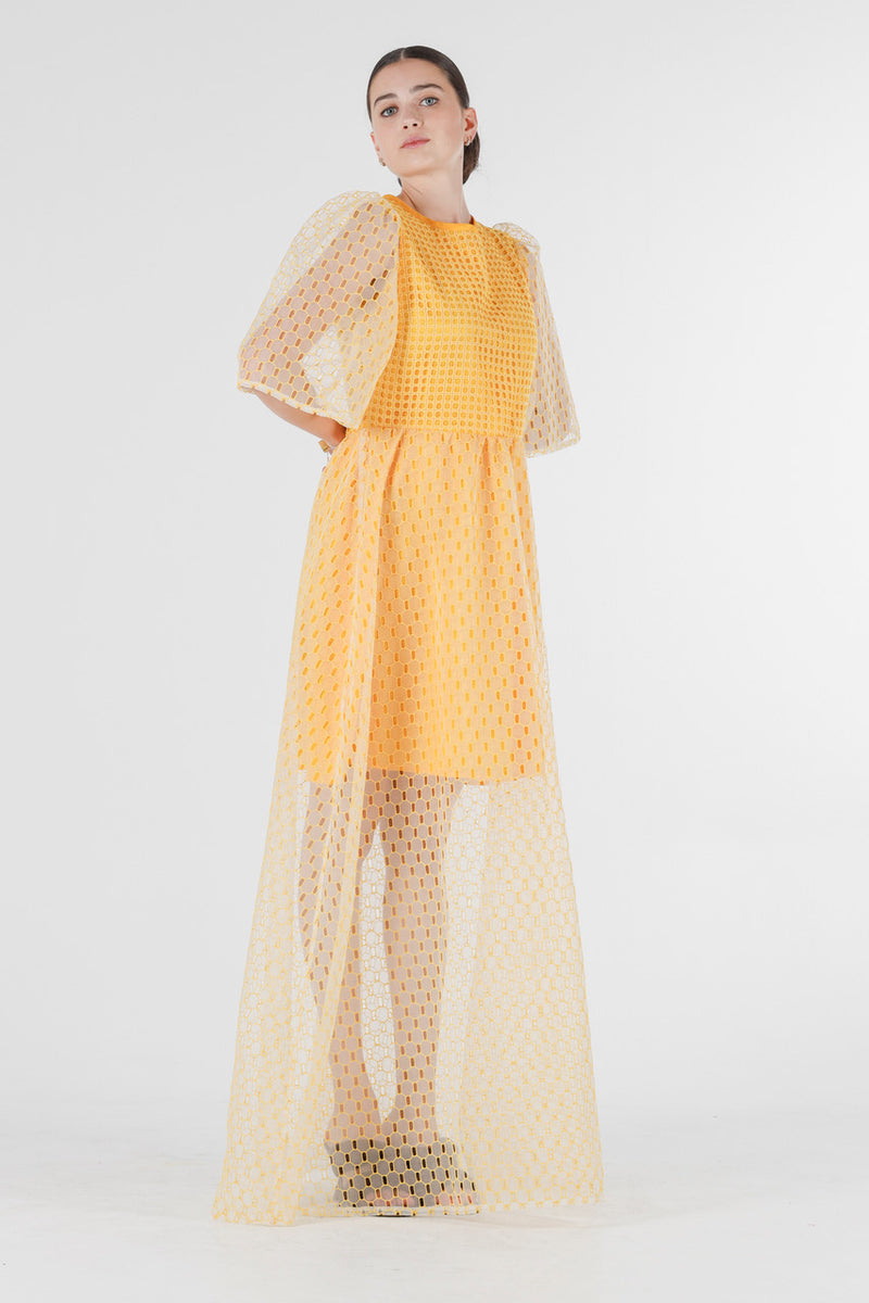 1- Beatrix long dress in yellow silk organza