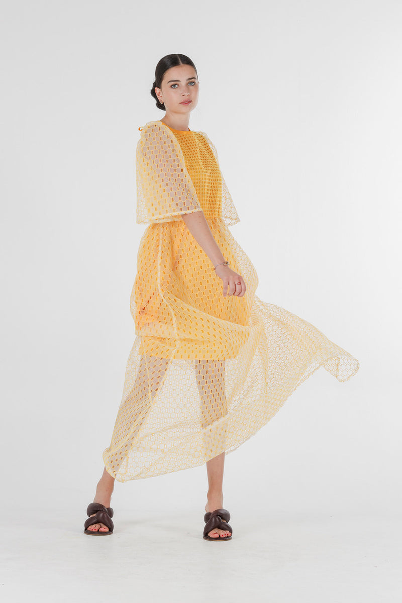 1- Beatrix long dress in yellow silk organza