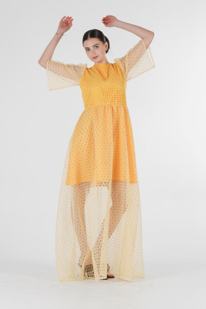 1- Beatrix long dress in yellow silk organza