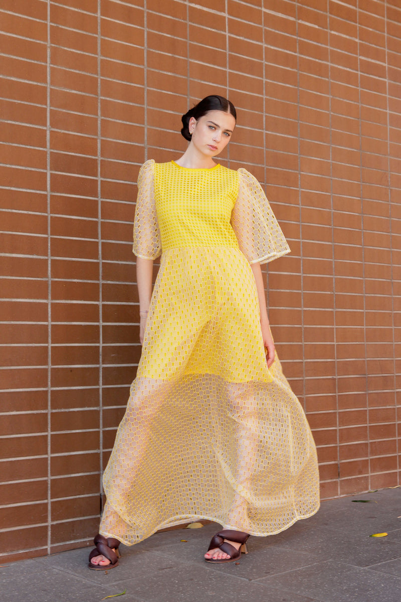 1- Beatrix long dress in yellow silk organza
