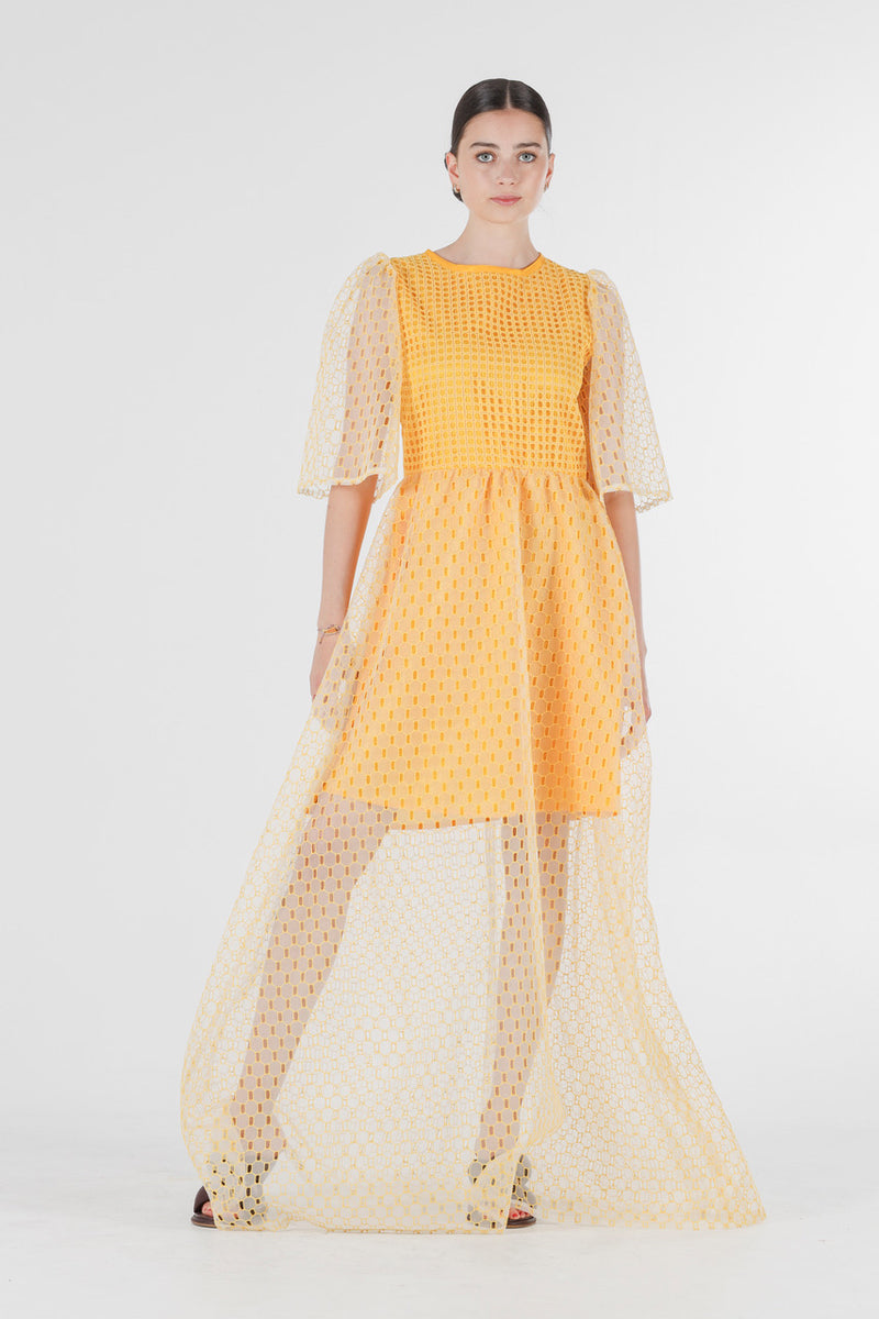 1- Beatrix long dress in yellow silk organza